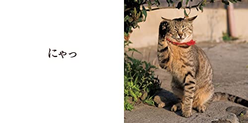 Amazon.com: 沖 昌之: books, biography, latest update