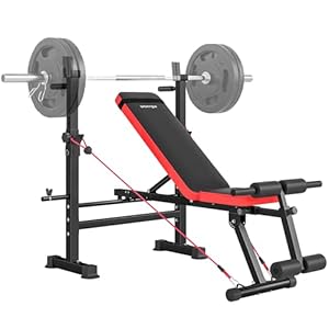 SPORTNOW 420KG Weight Bench with Adjustable Bench Press Rack and Dip Station, Heavy Duty Flat or Incline Workout Bench for Home Gym Full Body Strength Training