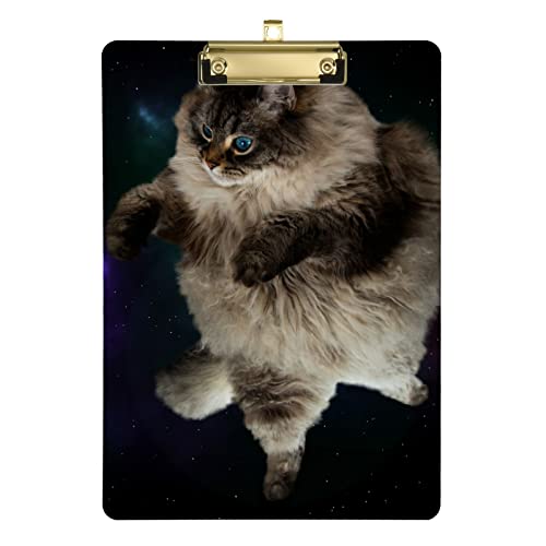 Planchette à pince en acrylique avec motif de chat volant dans la galaxie, format A4, pour étudiants, homme, femme, 22,9 x 31,8 cm avec clip en métal à profil bas
