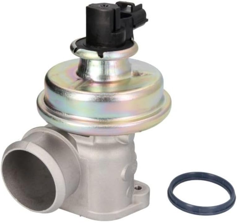 Hella 7.24809.07.0 Egr Valve