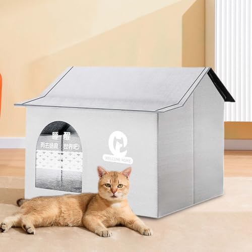 Maison rafraîchissante pour l'extérieur avec blocs de glace pour chat