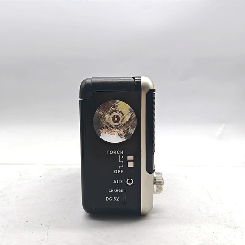 Radio portátil con receptor handheld y almohadilla lateral de audio miniatura 6