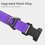 Joytale Reflective Dog Collar, Soft Neoprene Padded, Metal D-Ring, Nylon Pet Collar Adjustable for Medium Dogs, Purple, M - Image 3