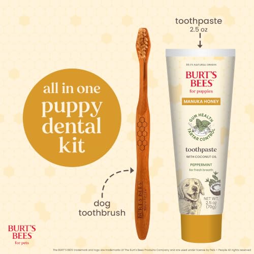 Burt's Bees for Pets Peppermint Puppy Dental Kit with Toothbrush & Toothpaste, 2.5 Oz - image 2