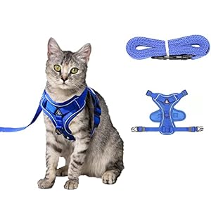 Amogato Cat Harness and Leash Set Outdoor Walking Escape Safety Cat Vest Kitten Leash and Harness Set Adjustable Soft Kitty Vestwith Cat Reflective Strip for CatsSmall Dogs or other animalsGreenGreyBl