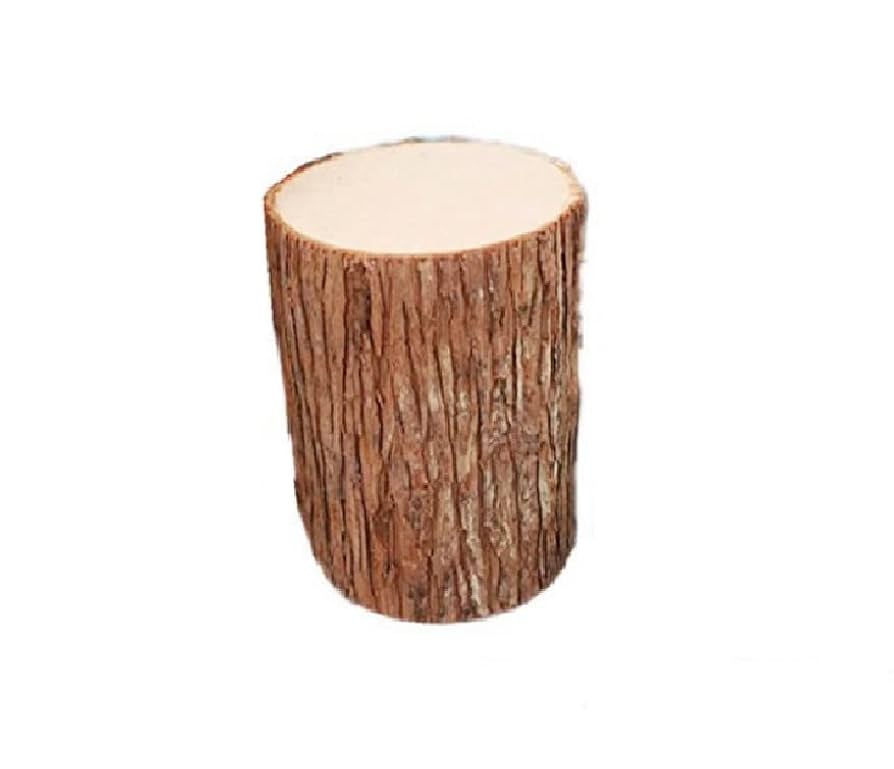 天然木　自然木　切り株 天然木自然木切り株