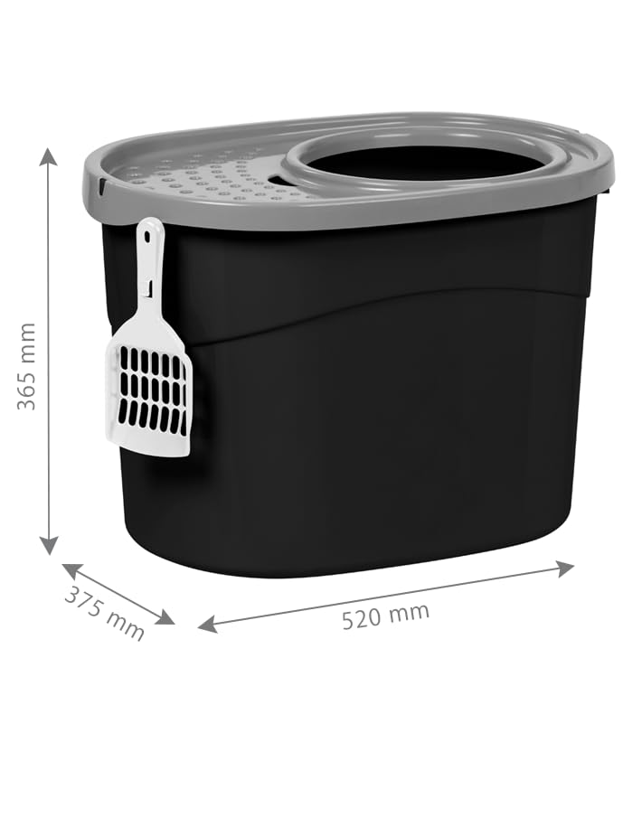 https://m.media-amazon.com/images/I/412tKM0GMcL.jpg