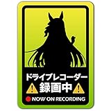 マグネットステッカー REC/ドラレコステッカー ★サトノダイヤモンド★ 189