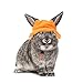BESPORTBLE 2pcs Guinea Pig Hamster and Rabbit Hat Adorable Orange Pet Costume Accessory for Small Animals for Parties Role-Playing and Christmas Celebrations