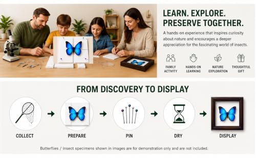 Image of Insect Pinning Kit for Beginners with Walnut Display Case, Butterfly & Bug Specimen Mounting Kit, EVA Foam Spreading Board, Insect Pins, Tweezers, Scissors & Wing Pressing Paper