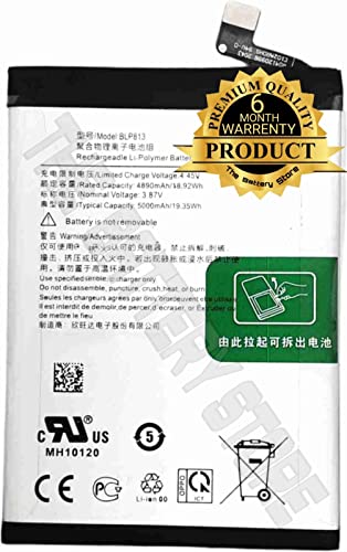 Image of THE BATTERY STORE Orignal blp813 Battery for OnePlus Nord N100 (BE2011, BE2012, BE2013, BE2015 5000mAh Battery with 6 Months warrenty and high Capacity Battery Backup (for OnePlus Nord N100)