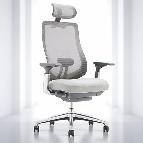 COLAMY Ergonomic Mesh Office Chair, High Back Computer Executive Desk Chair with Adjustable Headrest and 4D Arms, Slide Seat, Tilt Lock, Aluminum Base, Light Grey
