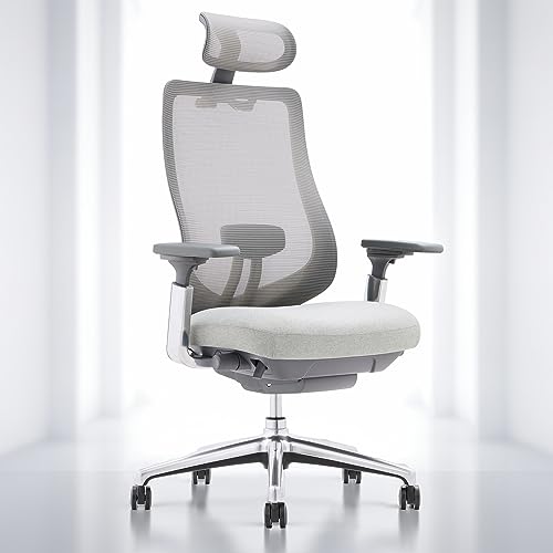 COLAMY Ergonomic Mesh Office Chair, High Back Computer Executive Desk Chair with Adjustable Headrest and 4D Arms, Slide Seat, Tilt Lock, Aluminum Base, Light Grey