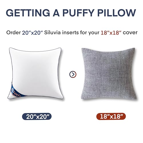 Siluvia 20"x20" Pillow Inserts Set of 2 Decorative Square Square Throw 20 Pillows with 100% Cotton Cover for Sofa, Couch, and Bed - White
