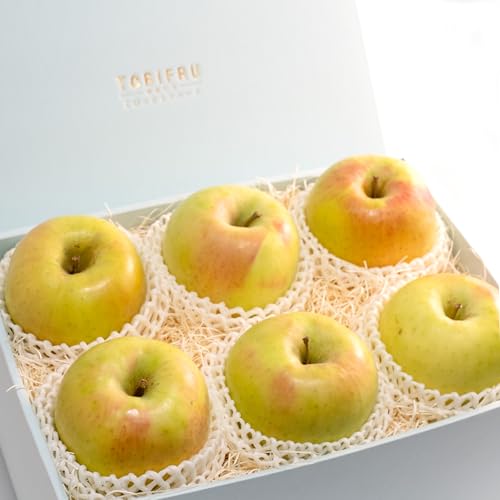 TOBIFRU 長野県産他 ぐんま名月 6玉入り フルーツ詰め合わせ 果物 ギフト 御祝 御見舞 内祝 誕生日 入学祝 卒業祝 入社祝 御供 プレゼント お供え 冬ギフト お歳暮 のし対応