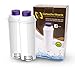 filtre delonghi dlsc002 – Lot de 2 filtres à eau pour machine à café Delonghi, compatible avec Delonghi Magnifica, Dinamica, Autentica, Primadonna, toutes les séries ECAM Esam ETAM BCO EC