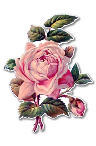 AK Wall Art Vintage Rose Beautiful Vinyl Sticker - Select Size