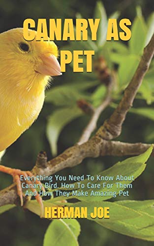 CANARY AS PET: Everything You Need To Know About Canary Bird. How To Care For Them And How They Make Amazing Pet