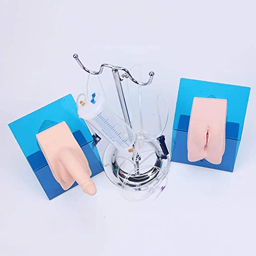Modelo de cateterismo uretral - Maniquí médico para entrenamiento sanitario y simulación de anatomía para educación básica
