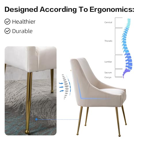 Restworld Velvet Dining Chairs Set of 2, Upholstered Dining Chairs with Polished Gold Metal Legs,Farmhouse Kitchen Side Chairs, Vanity Chairs, Accent Chair for Kitchen/Restaurant/Cafe(Beige)