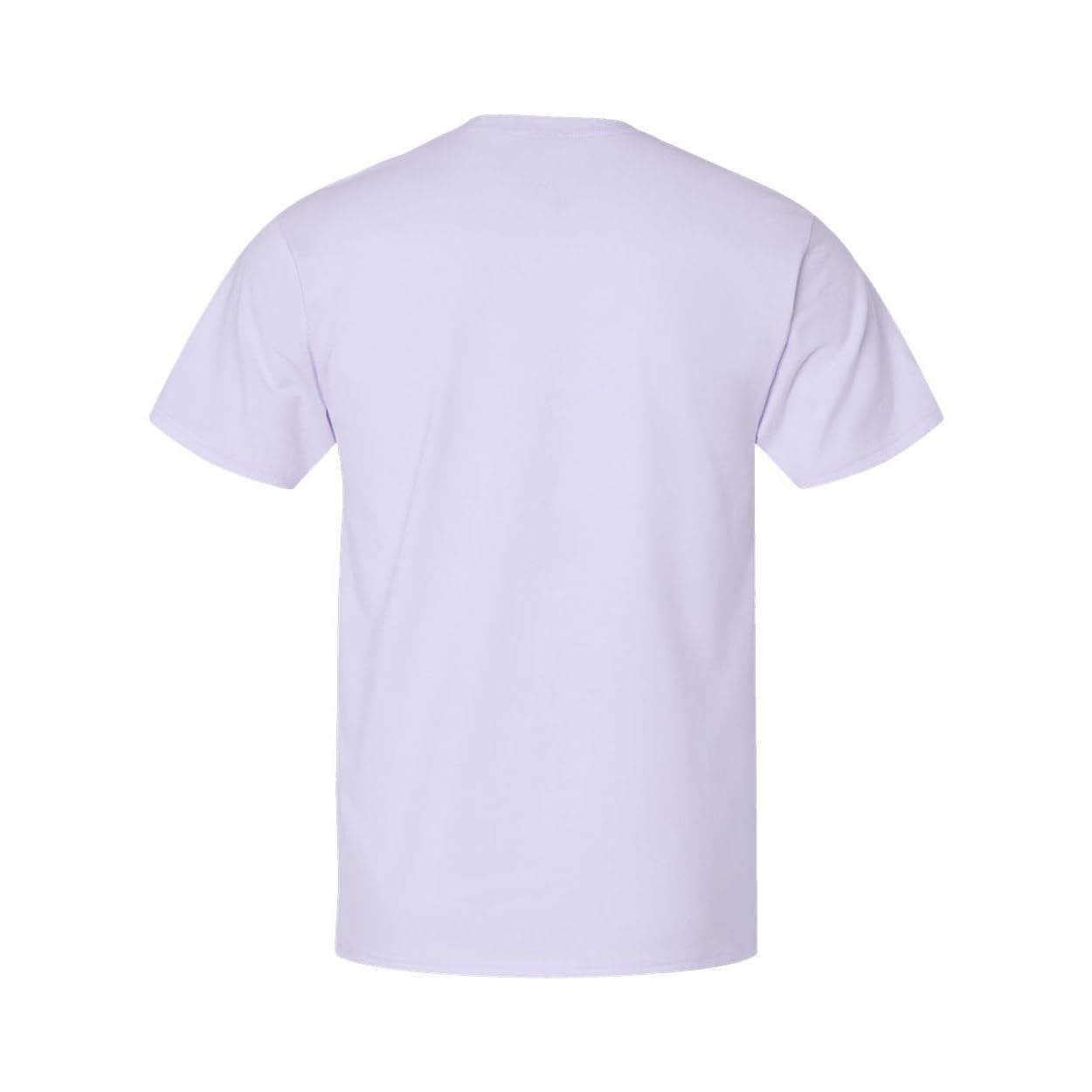 Hanes Mens Nano-T T-Shirt, M, Urban Lilac