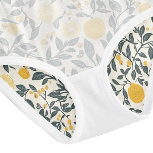 ZZKKO Summer Lemon Farmhouse Girls Underwear Toddler Panties for Girls Comfort Brief Size 2-8T4