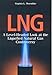 LNG: A Level-Headed Look at the Liquefied Natural Gas Controversy