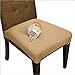 SmartSeat Dining Chair Cover and Protector (Sandstone Tan), Removable, Waterproof, Machine Washable, Stain Resistant, Soft, Comfortable Fabric for Kids, Pets, Entertaining, Eldercare