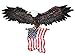 COMLZD 3D American Eagle Wall Sculptures, Patriotic Eagle Sculpture with National Flag Freedom's Pride Art Wall Decor (31 inch x 18 inch)