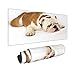 Produktbild Extra Groß Mauspad mit Genähten Kanten,L-80 x 30 x 0.3cm,Englische Bulldogge,Schreibtisch Mat Personalisiert für Die Arbeit Spiel Büro Computer Laptop