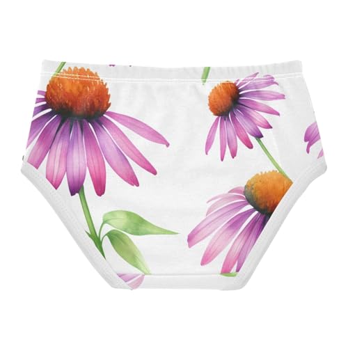 Girls Underwear Toddlers 2t Cotton Little Girl Panties Artistic Kids Undies Briefs Purple Echinacea Flowers White2
