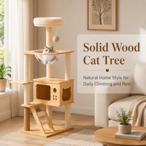 Árbol para gatos de madera sólida con cápsula transparente miniatura 3