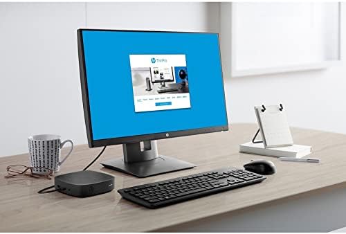 HP t430 Thin Client displaying the HP ThinPro operating system interface