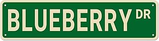 Blueberry Street Signs,Blueberry Decor Blueberry Sign Blueberry Gift,Wall Decor for HomeKitchenMan Cave,Quality Metal Signs 4x16 Inch
