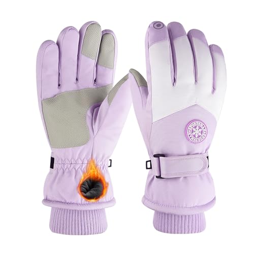 [YUMISS] XL[O[u h fB[XyOwhhhfށE~MۉNтŗ뉺20gz  ʋC  ~ ^b`plΉ hH Xm[{[h oCN oR ނ AEghA (^CvB-p[v, F