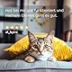 Dr. Sam Premium Immunsystem Pulver für Katzen - Immunbooster der pflanzliche Gesundheitshelfer zur Stärkung der Abwehrkraft - Hilft unterstützend bei Krankheit - Cat Immune Powder - hochdosiert - 45g