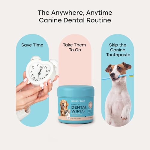 Image of Uproot Clean Pet Dental Finger Wipes for Dogs & Cats (50ct.): Easy & Effective Cat and Dog Teeth Cleaning Wipes - Dog Dental Tissues for Plaque, Tartar, & Bad Breath - Safe, Rinse-Free, Disposable