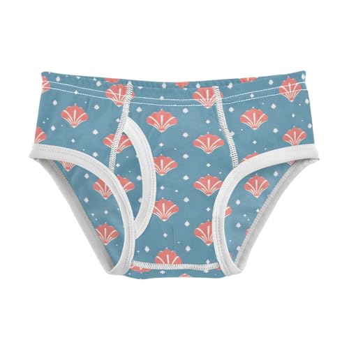 Boys' Exclusive Briefs Toddler Underwear 95% Combed Cotton Boxerbriefs 2T Shells Stars Pattern