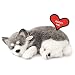 88 Unlimited Alaskan Husky Plush