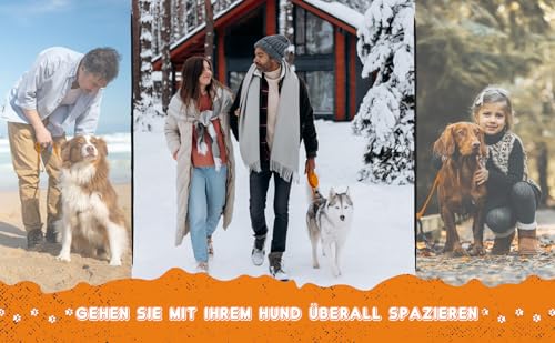 Loutep Schleppleine Für Hunde Lange Leine 3m 5m Schleppleine 10m Für Hunde 15m 20m 25m 30m Hundeleine Für Kleine Mittel Große Hund Langlaufleine Wasserfest Leicht Laufleine