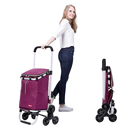 Chariot à roulettes Courses, Chariot de magasinage Pliant sur Roues avec Sac Amovible et Conception Pliable, capacité maximale 30 kg, Pousser/Tirer (Color : A) Cover