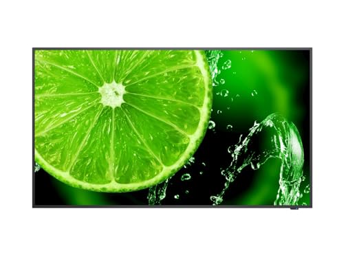 NEC MultiSync E658 165,1 cm (65') IPS 4K Ultra HD Noir