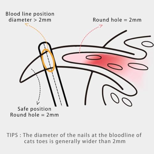Image of Qpets Kitten Cat Nail Cutter, PP Handle Cat Nail Cutter for Persian Cat, Stainless Steel Cat Claw Trimmer with Crescent Blade for Small Medium Cats - Brown