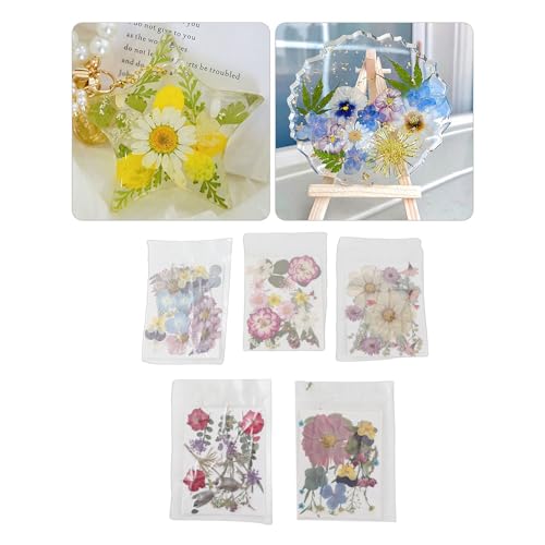 Flores prensadas surtidas para manualidades DIY, 100 piezas miniatura 2