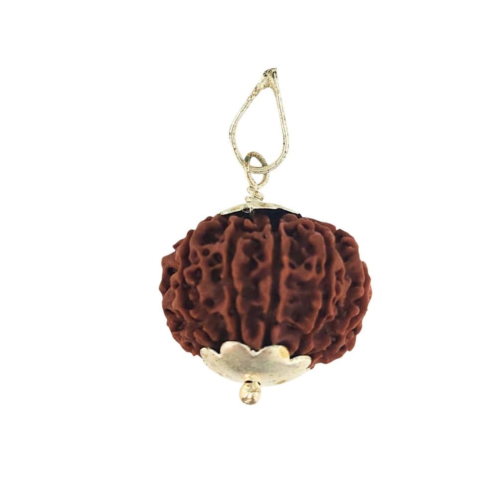 Choose Your Original Lab Certified Rudraksha 1 to 13 Mukhi Ganesha Gauri Shankar Silver Plated Pendant Astrological Shiva Jewellery for Men and Women-image-28