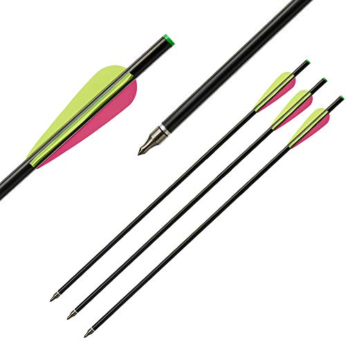 Toparchery 12Pcs Crossbow Bolts 20 Inch Hunting Archery Fiberglass Arrow Crossbow Bolts Arrow With 3 Inch Vanes And Replaced Arrowhead/Tip #TOP1