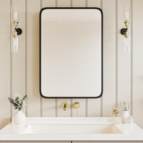 Image of AGDULL Medicine Cabinet with Black Metal Frame Mirror, Overall 20 inchx30 inch