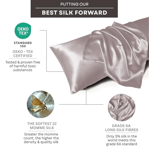 Image of Mulberry Silk Pillowcase - Standard 20x26 Inch - 22 Momme Highest Grade Silk - Cooling for Hair & Skin - Breathable Anti-Frizz with Hidden Zipper - Soft Luxury Pillow Cover - Urban Gray