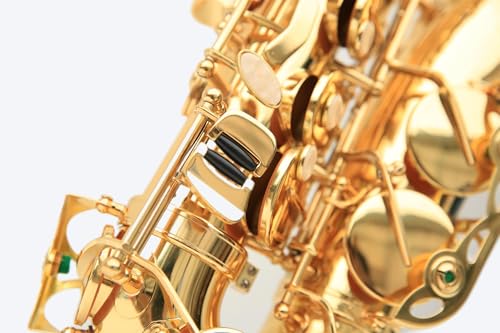 Kit Saxofone Alto Eb Laqueado Estojo Case Luxo Kit Acessórios