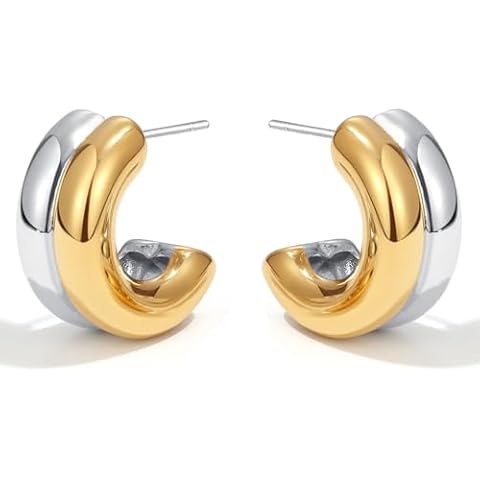 NUZON Two Tone Double Hoops Earrings Cover